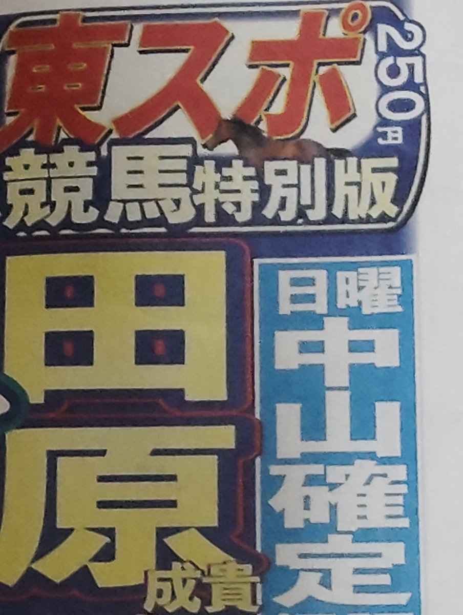 👩🤝🐴真ありす猫🐈🍫🍩🍘 tweet media