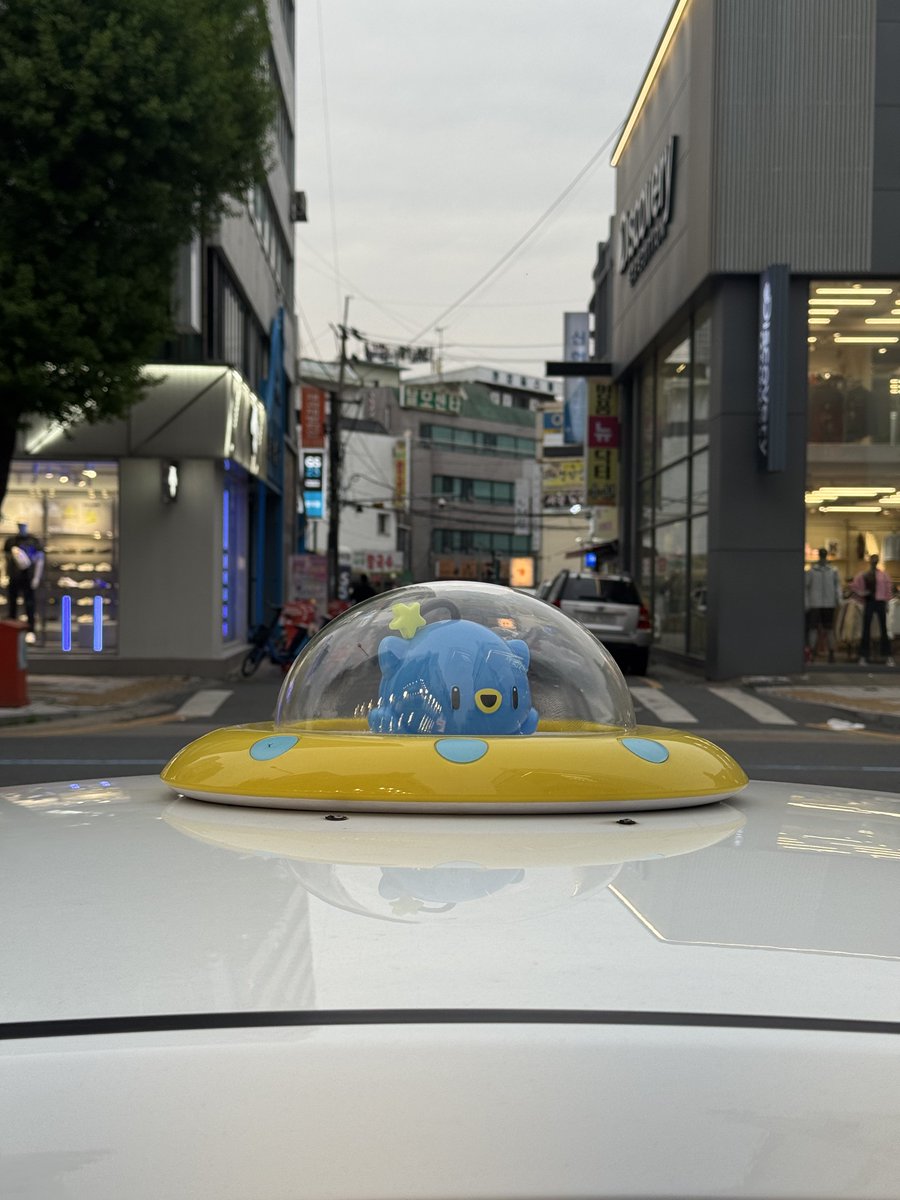 콩콩 tweet media