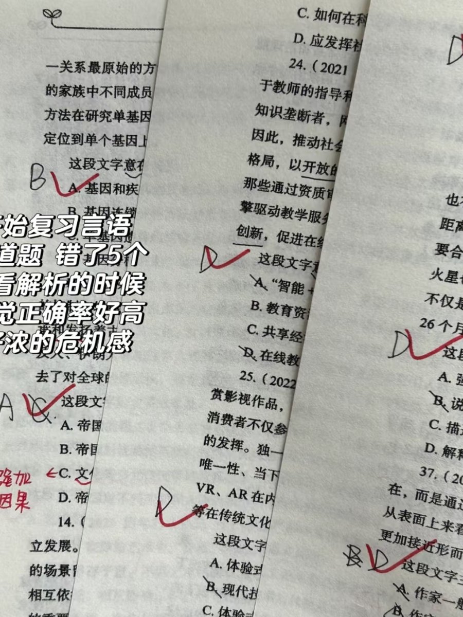 Chloe DeBoo tweet media