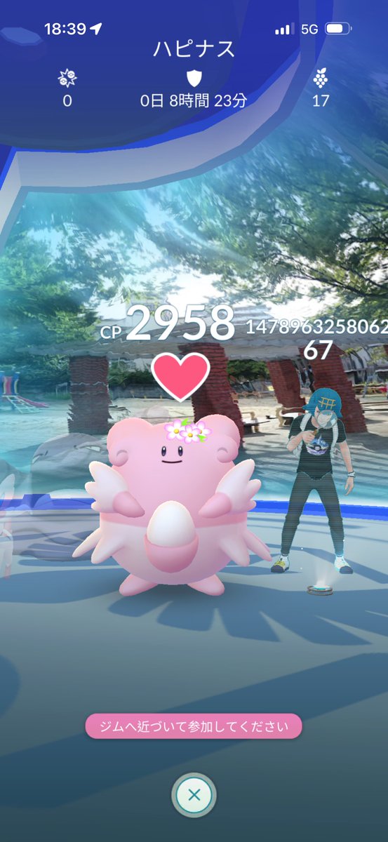 ポケモンGO専用垢 tweet media