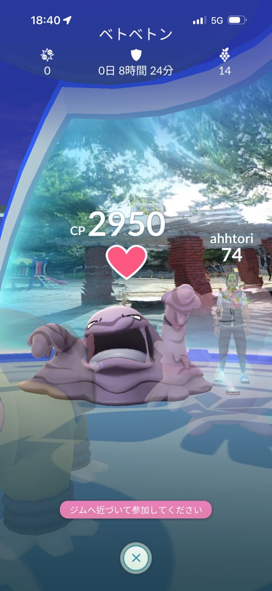 ポケモンGO専用垢 tweet media