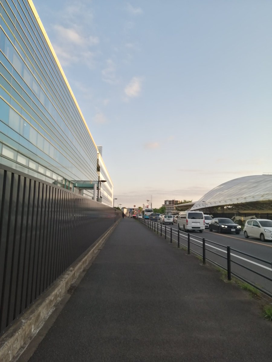 でぃしくん tweet media