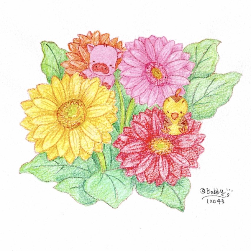 色んないろのガーベラのお花🌸🌼春っていいね！

#4月18日 #ガーベラ記念日 #春の花