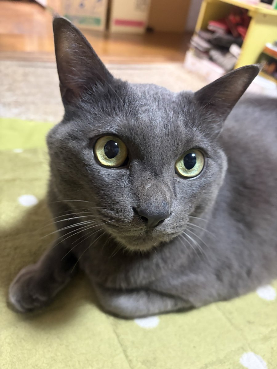 まぁ姉🍌 tweet media