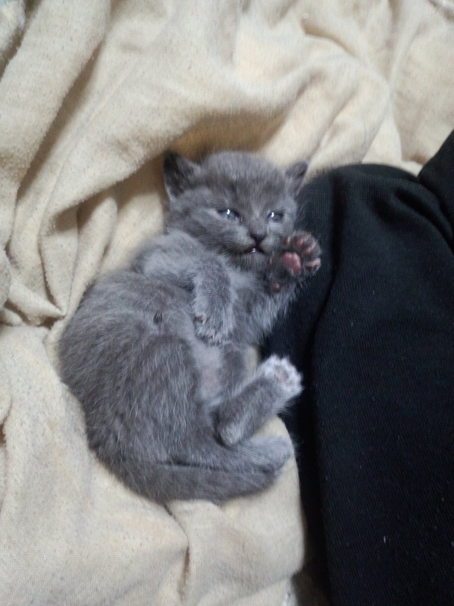 まぁ姉🍌 tweet media