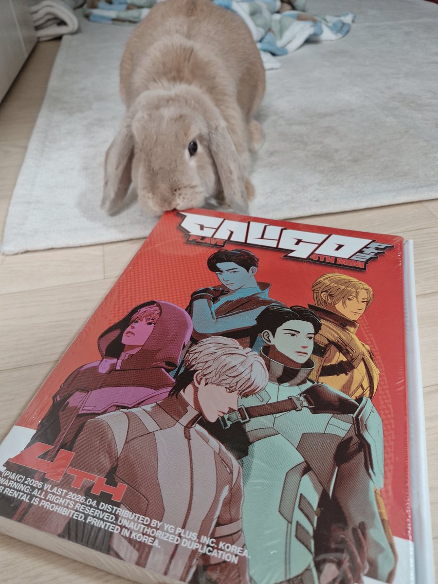 여백🐾 tweet media