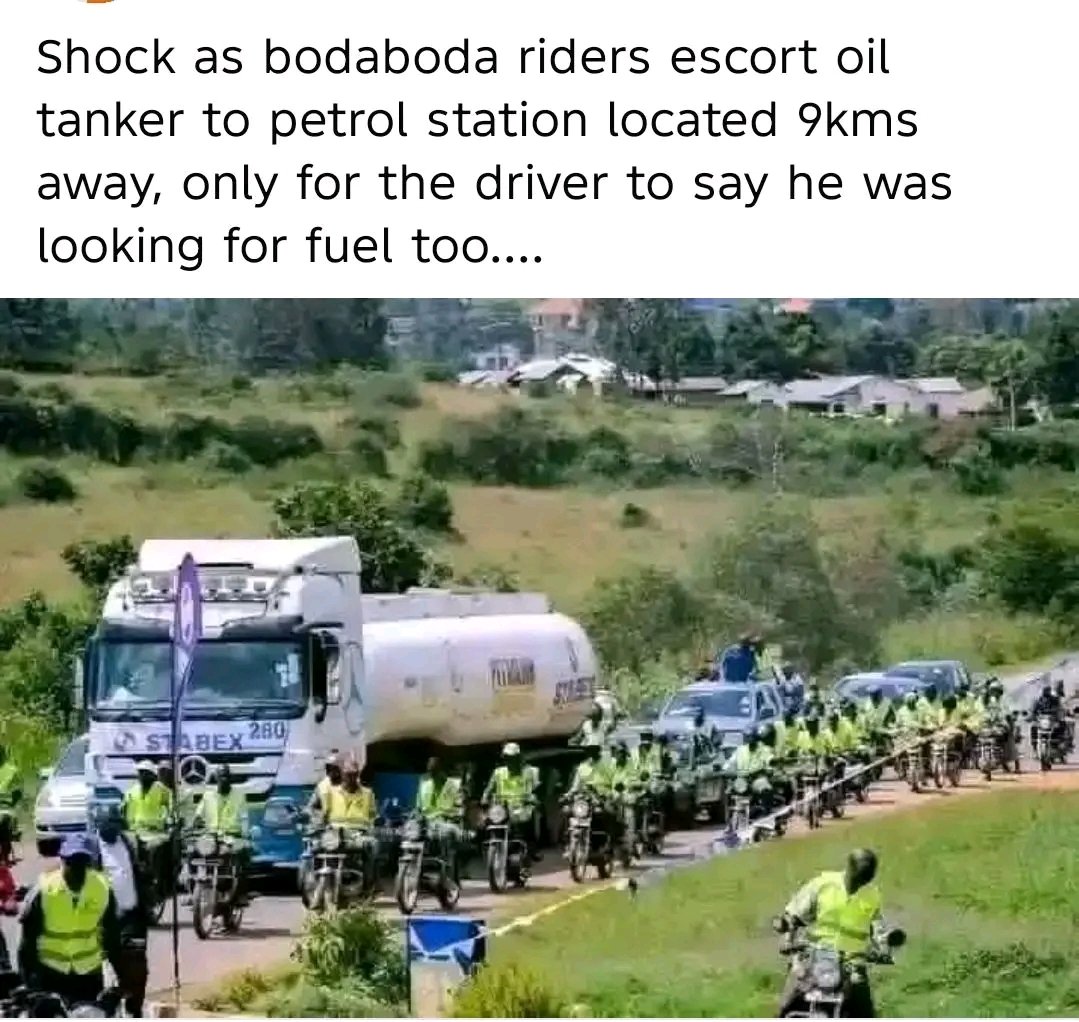 Nixon Okumu tweet media