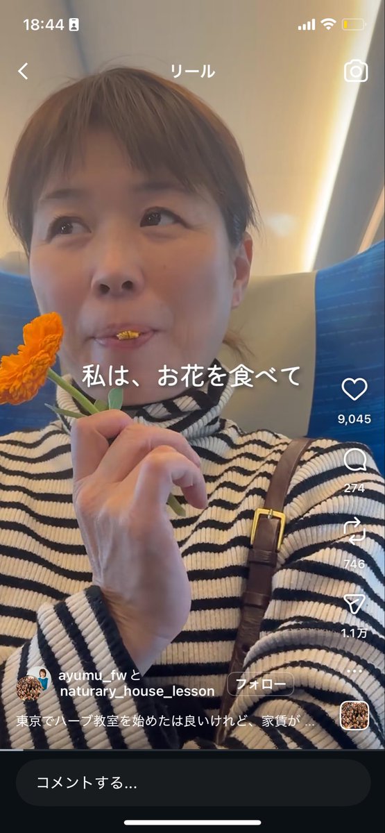 しゃいning tweet media