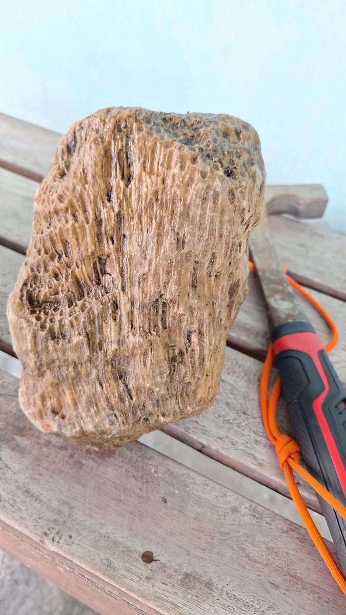 INFOMITIGASI tweet media