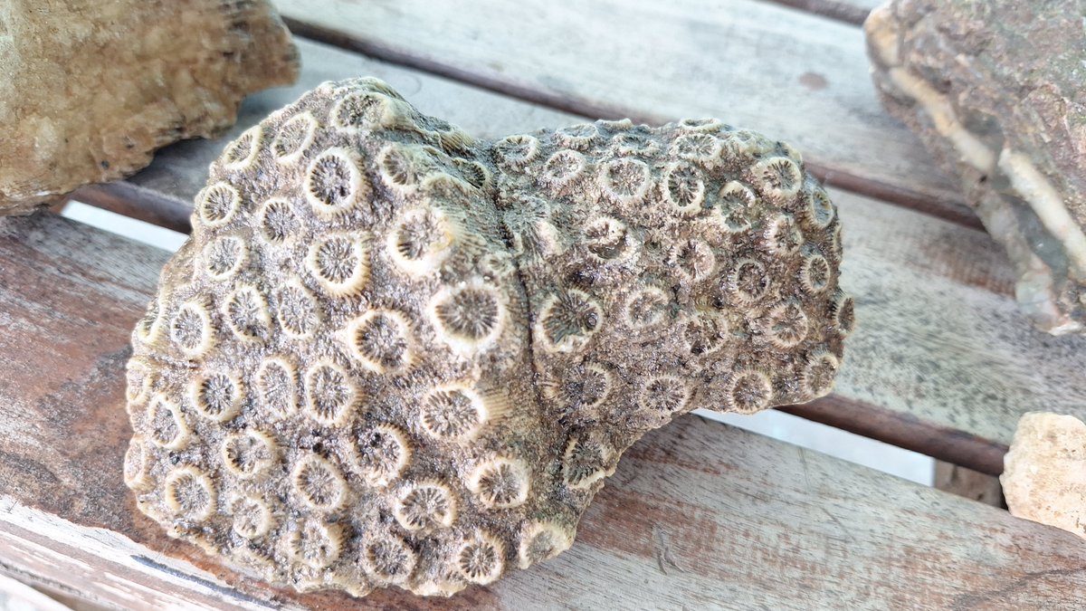 INFOMITIGASI tweet media