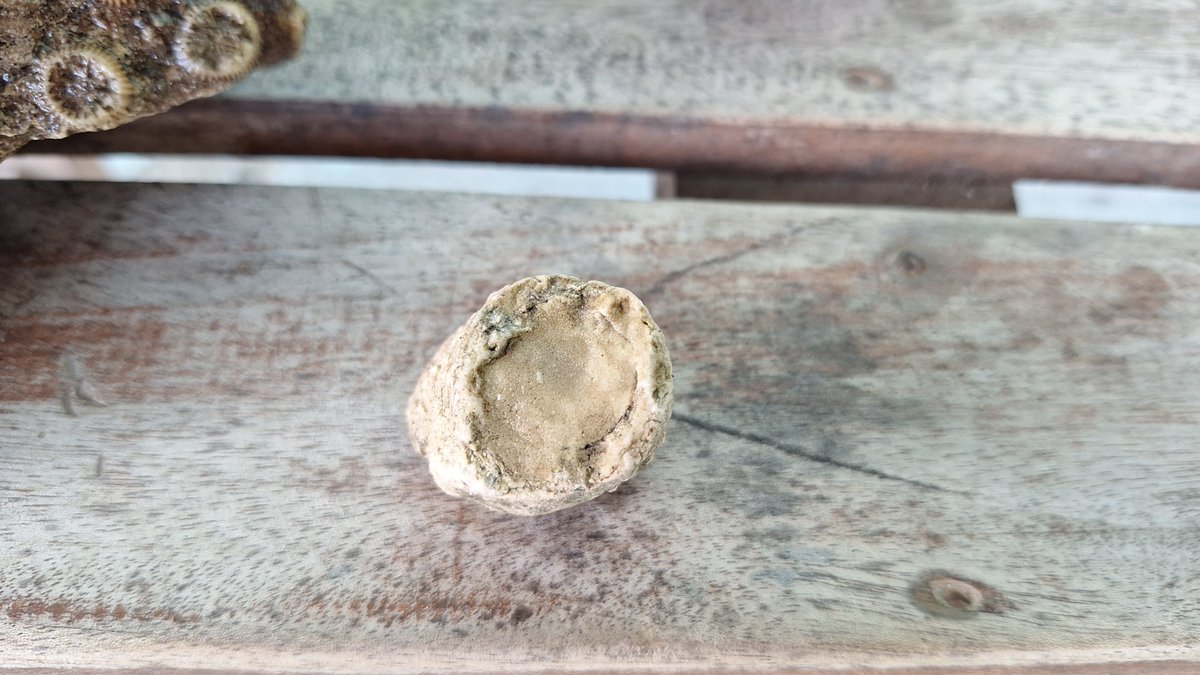 INFOMITIGASI tweet media