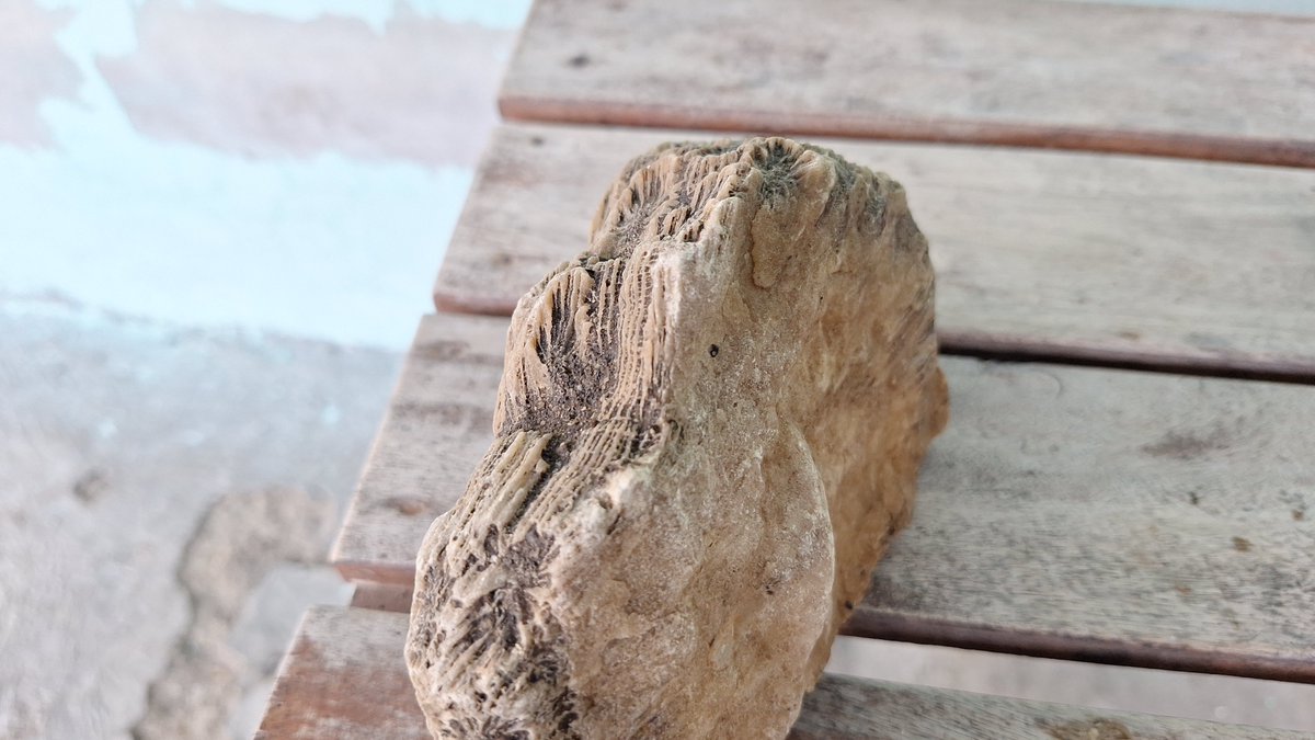 INFOMITIGASI tweet media