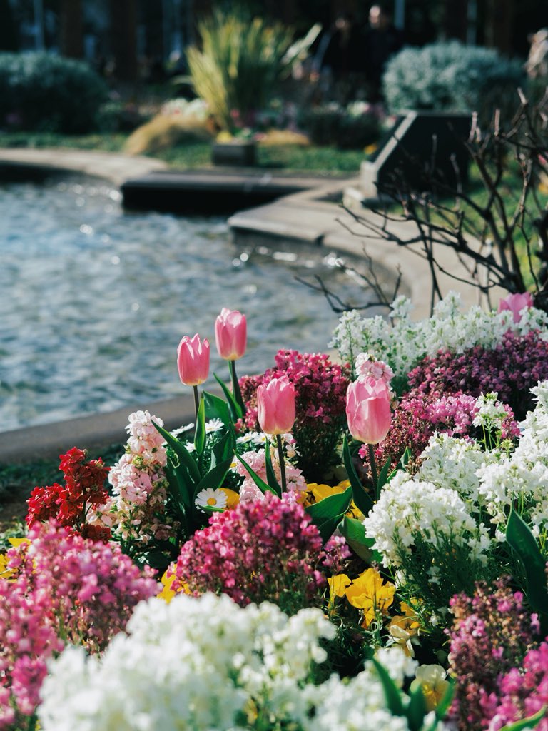 Kimura Hinami tweet media