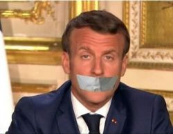 SyLvanSLy tweet media