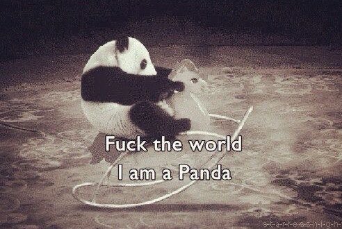 cheams 🥯🪽 tweet media