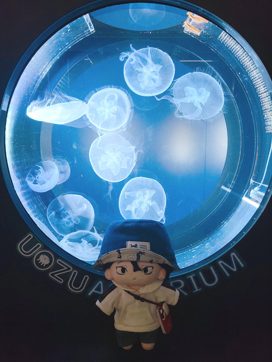 「#ホクロぬいの日常 ホクロ「水族館に行ってきました! お魚さん達が元気に泳いでて」|まろまゆのイラスト