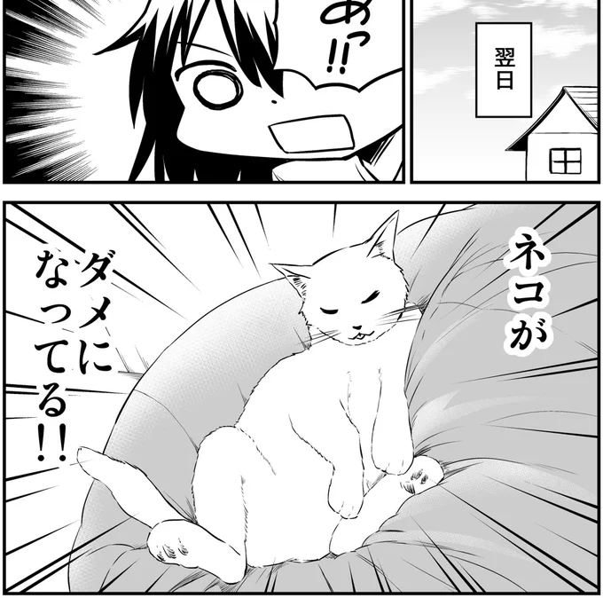 猫と一緒に生活した結果(1/4) 
