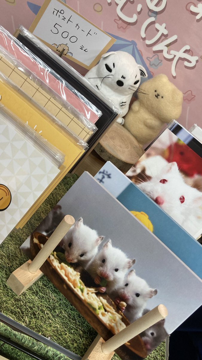 🐹はむけん🐹制作低浮上予定✍️ tweet media