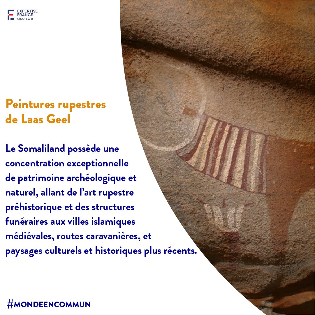 Expertise France tweet media