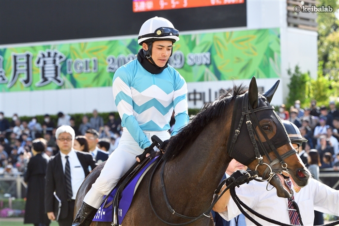 競馬ラボ tweet media
