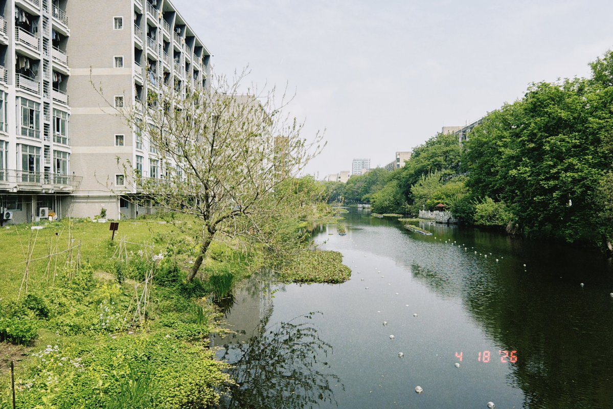 阿泽clark tweet media