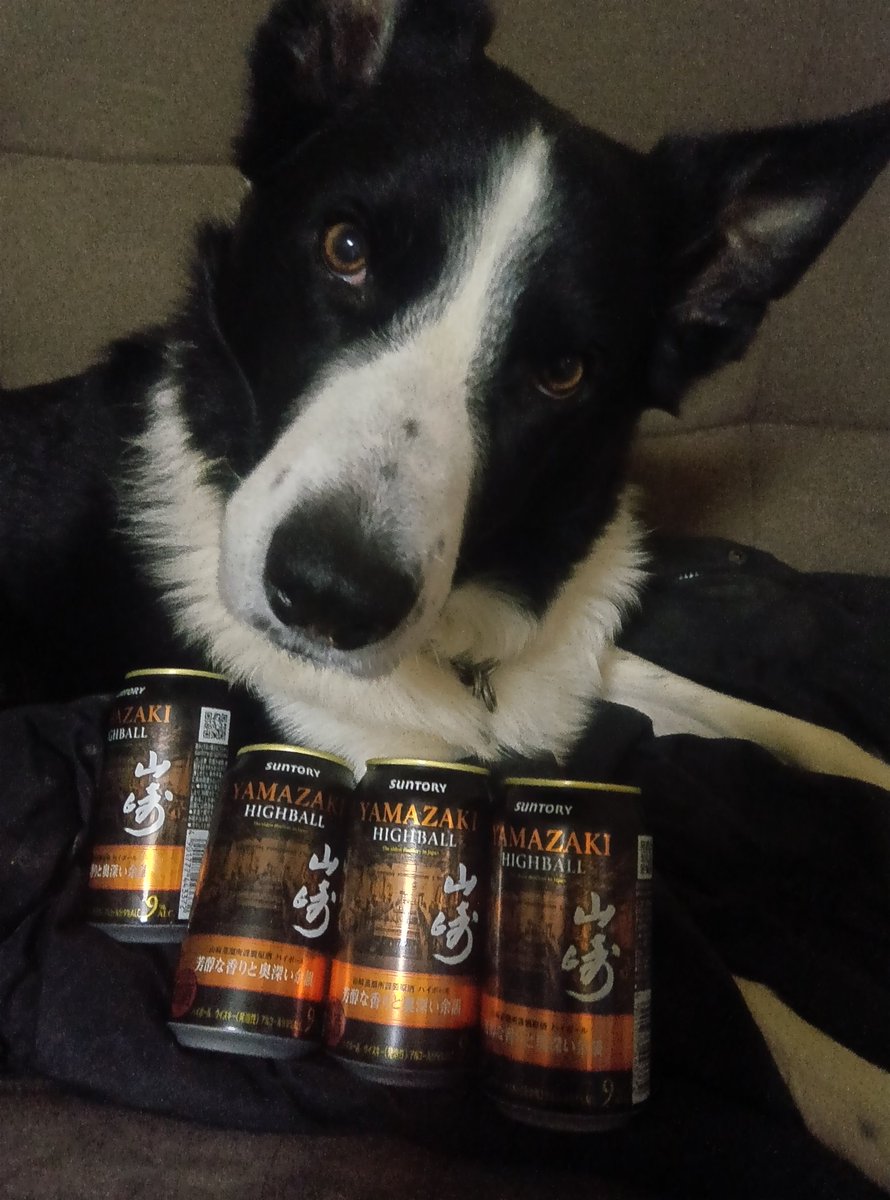 けいじろとでっかのお父さん　のぶ『長岡伸晃』 tweet media