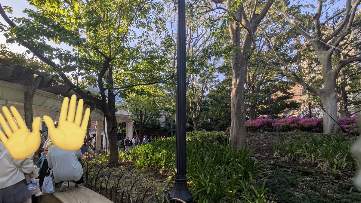 まひまこ(🏰Mahimako✨) tweet media