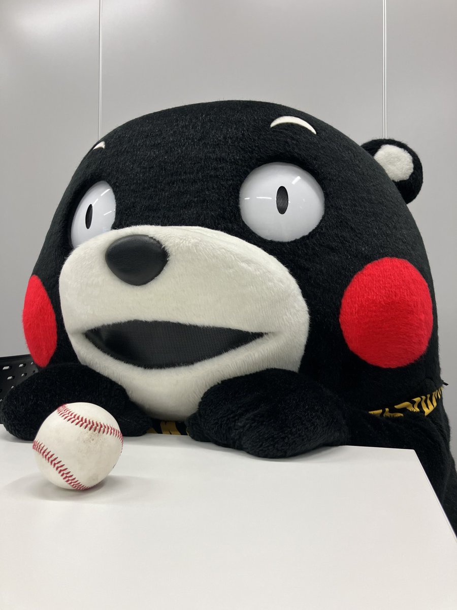 くまモン【公式】 tweet media