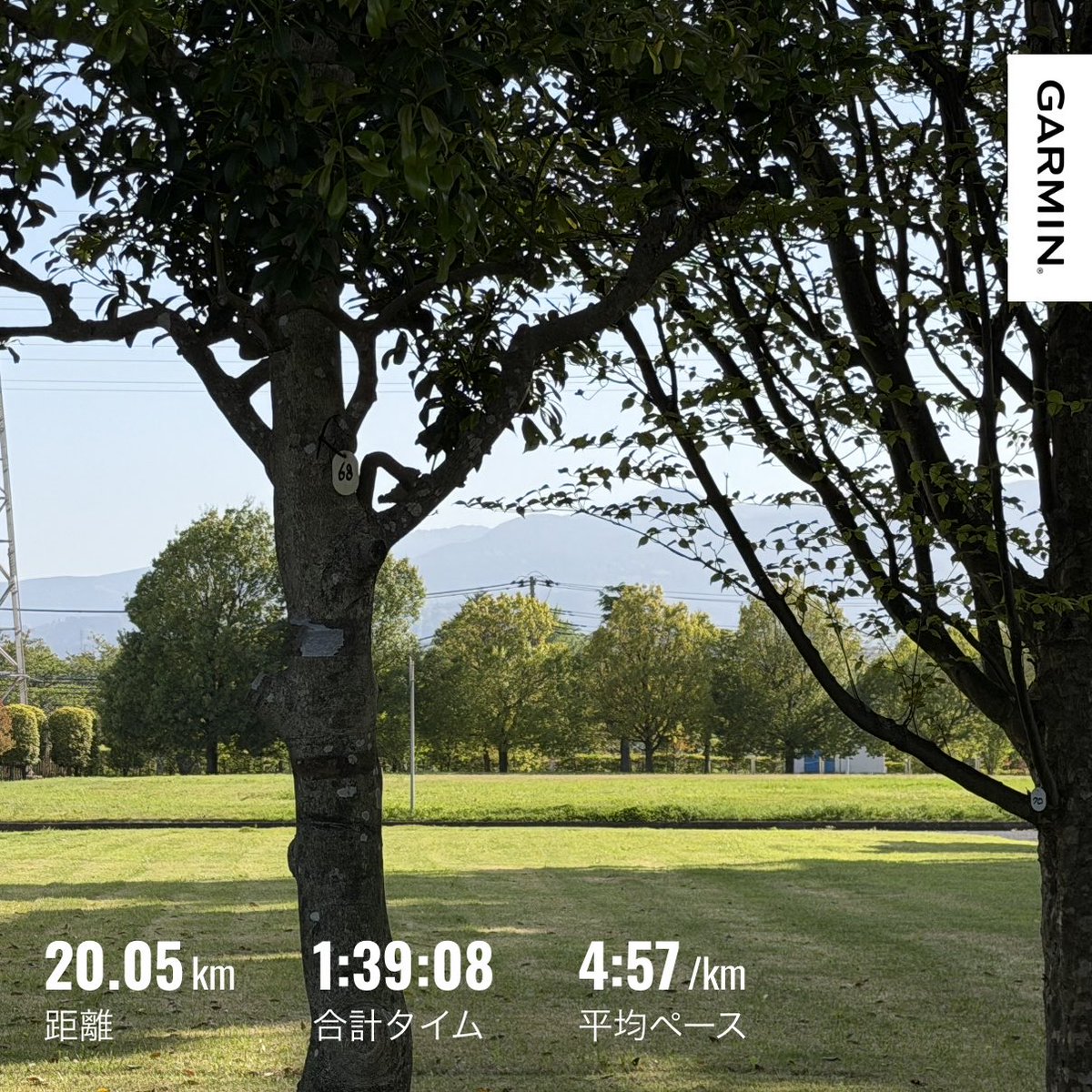 青空@疲労骨折→3/14復帰5/10仙台国際ハーフ tweet media