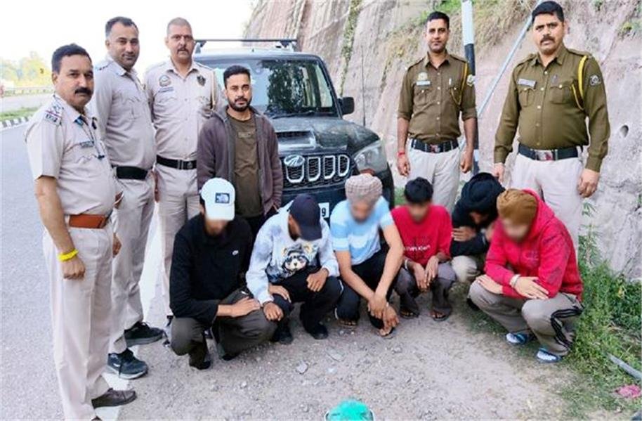 himachalkesari's tweet image. हिमाचल पुलिस का बड़ा एक्शन: स्कॉर्पियो गाड़ी से पकड़ी चरस की खेप, पंजाब के 6 तस्कर गिरफ्तार
himachal.punjabkesari.in/himachal-prade…
#Himachal #Mandi #HPPolice