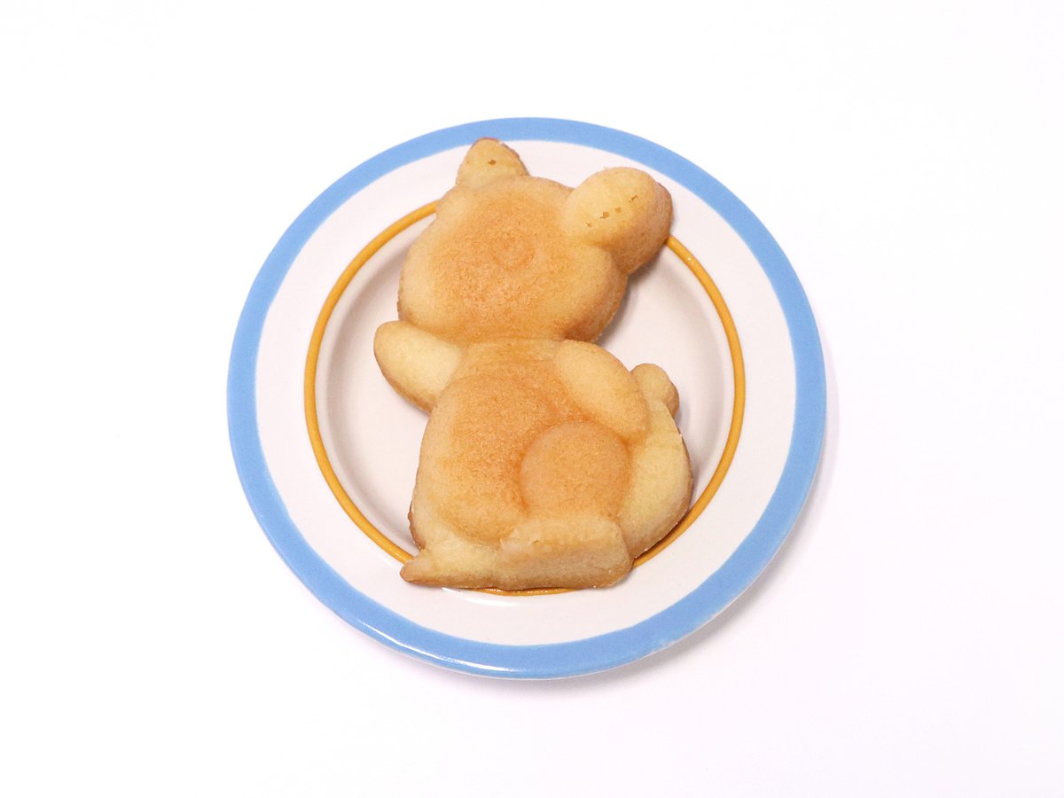 ポケモンだいすきクラブ編集部【公式】 tweet media