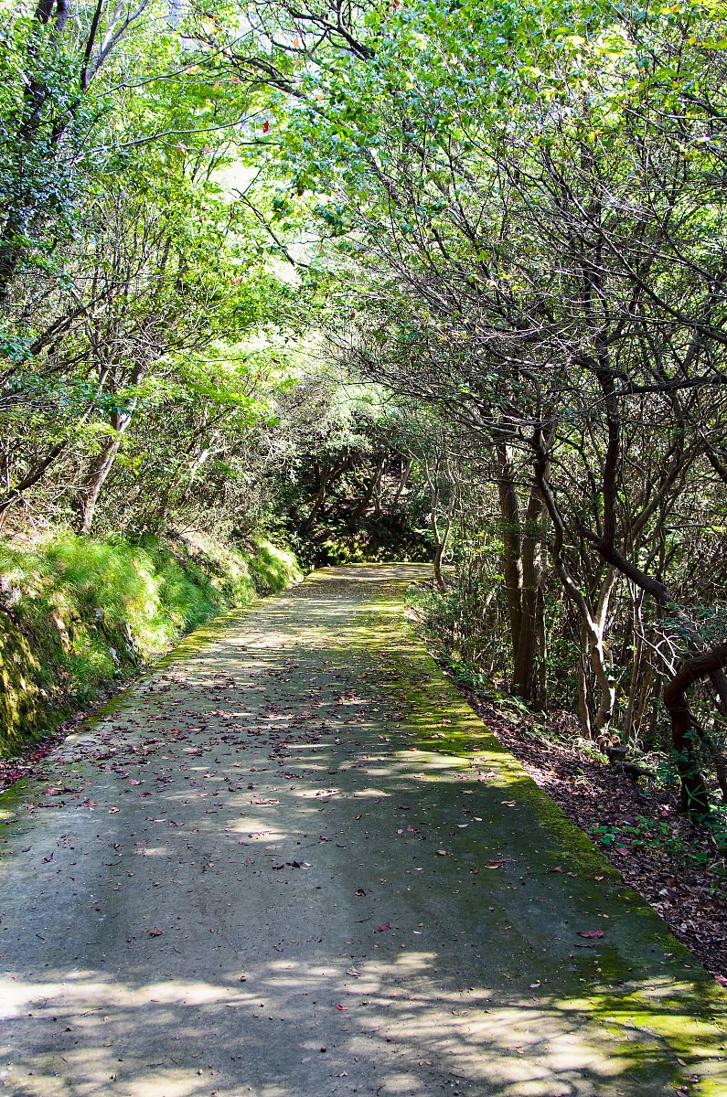 Ian Carter tweet media