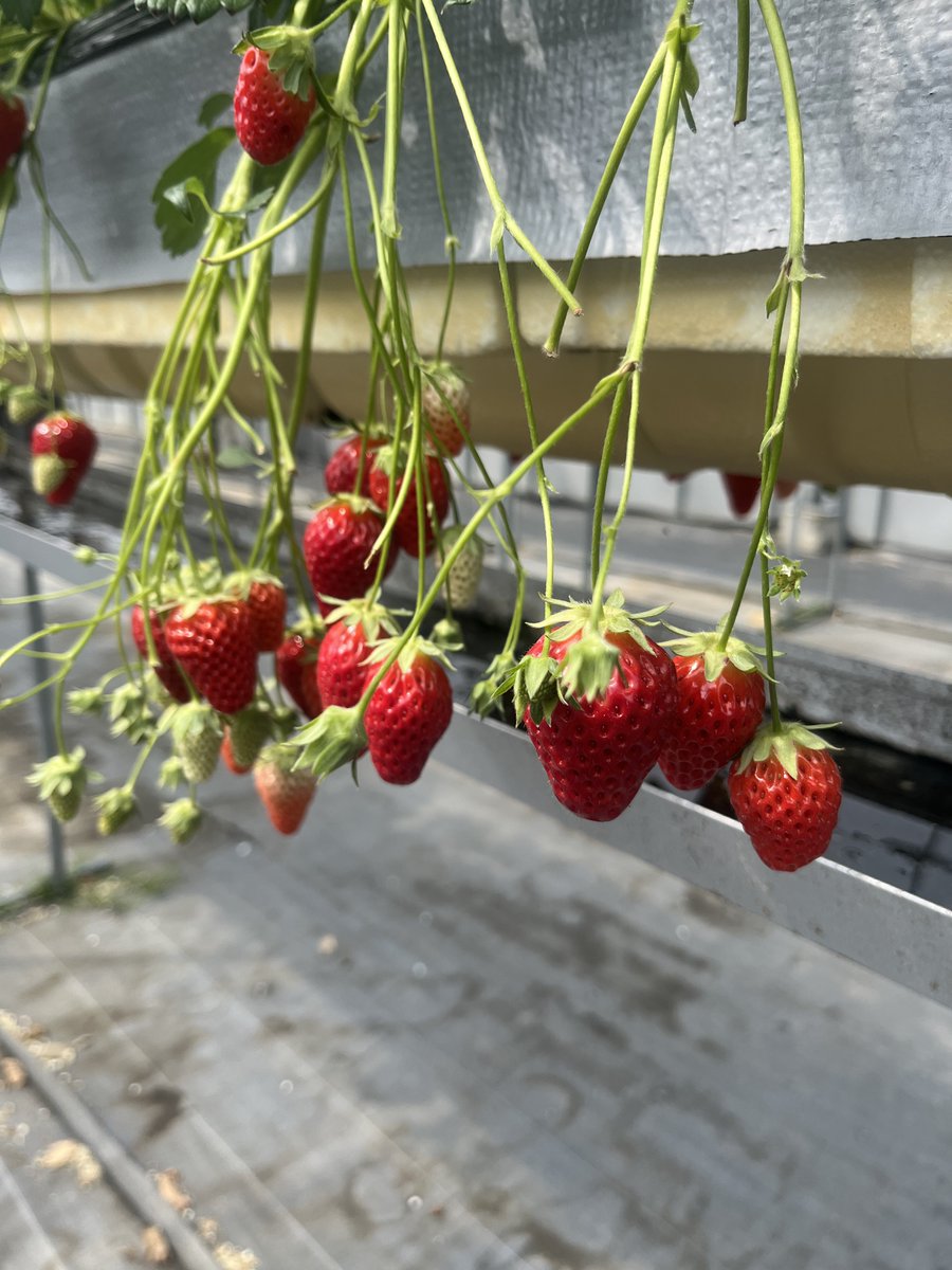 ちゃん tweet media