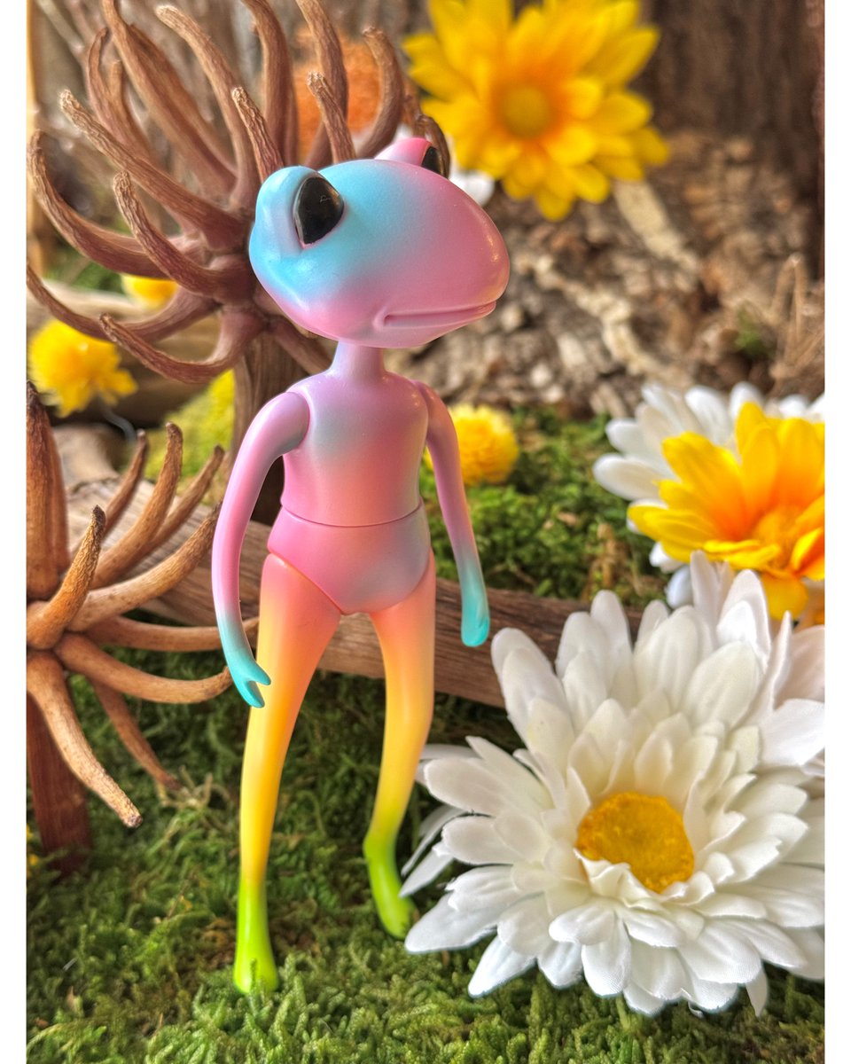 ワンダショップオフィシャル tweet media