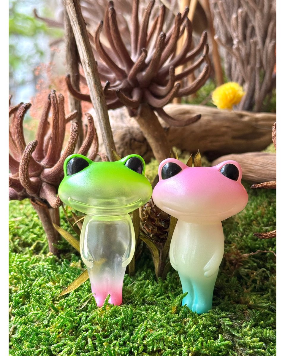 ワンダショップオフィシャル tweet media