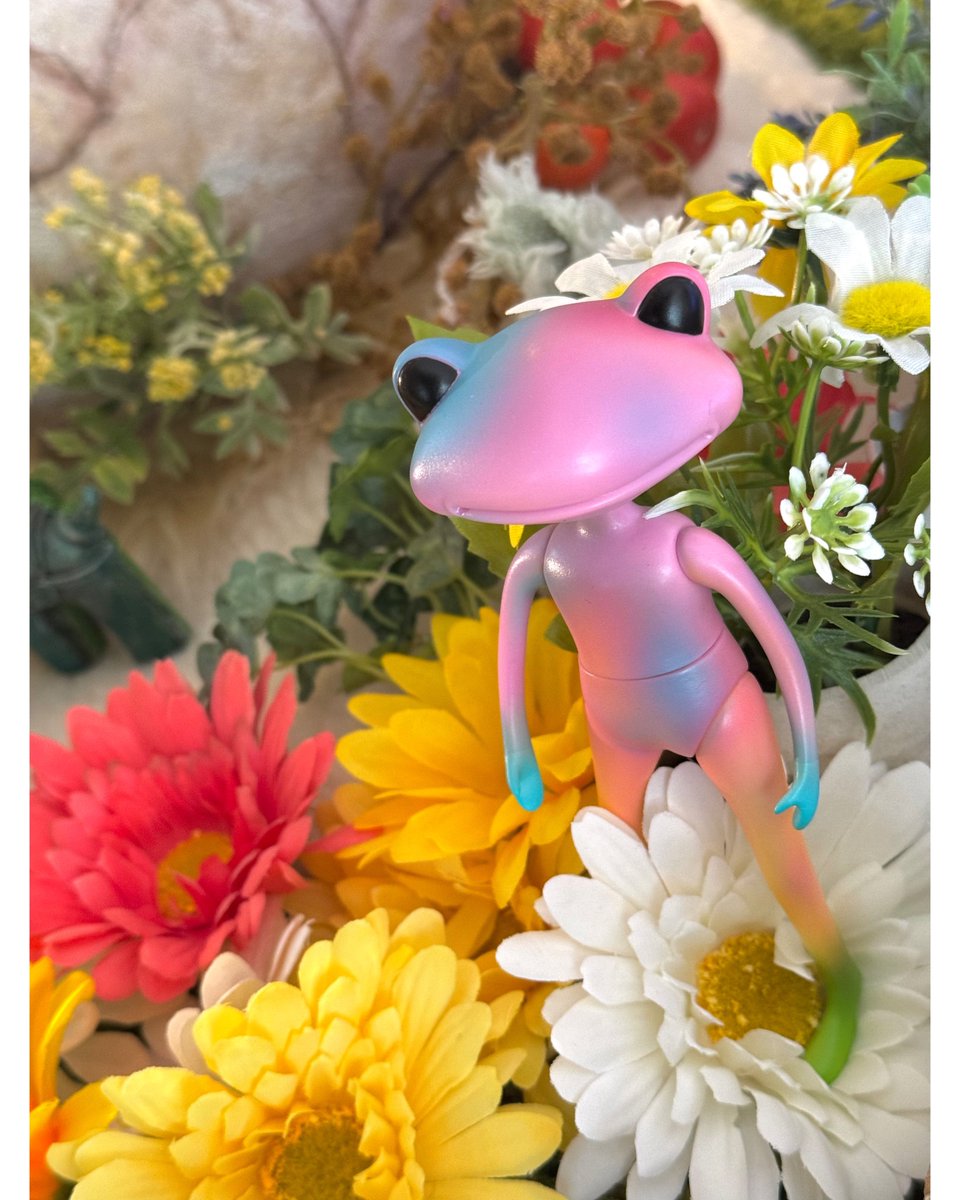 ワンダショップオフィシャル tweet media