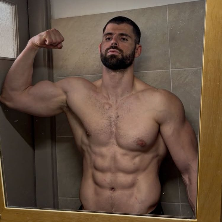 𝙱𝙰𝙻𝙺𝙰𝙽 𝙰𝙻𝙿𝙷𝙰𝚂 tweet media