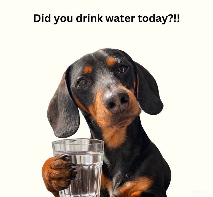 J.Morgan tweet media