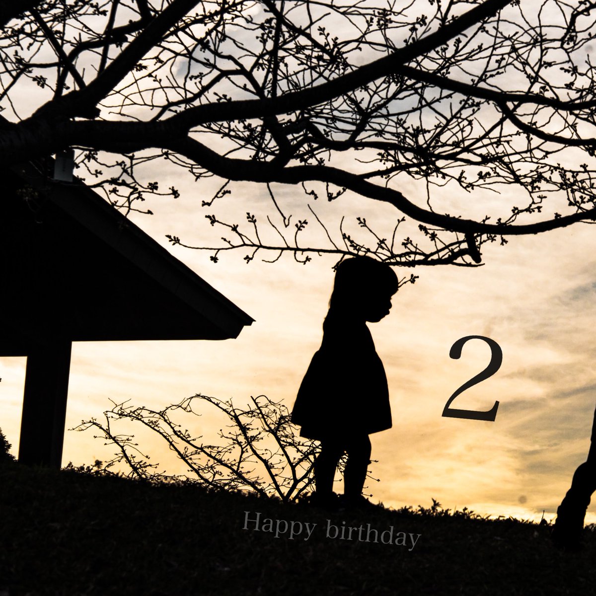 ⋈ Happy 2nd Birthday ⸌◦̈⃝⸍ ⋈ いっぱい泣いて、いっぱい笑おうね。
