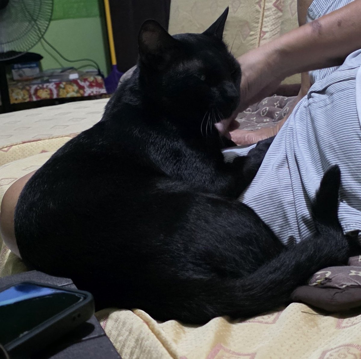 jü 🌸🦋💛 tweet media