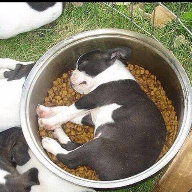 cheams 🥯🪽 tweet media