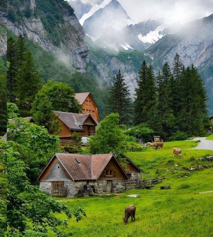 oceannvibe's tweet photo. “This is what peace looks like 🇨🇭” https://t.co/F3eKw6gznv