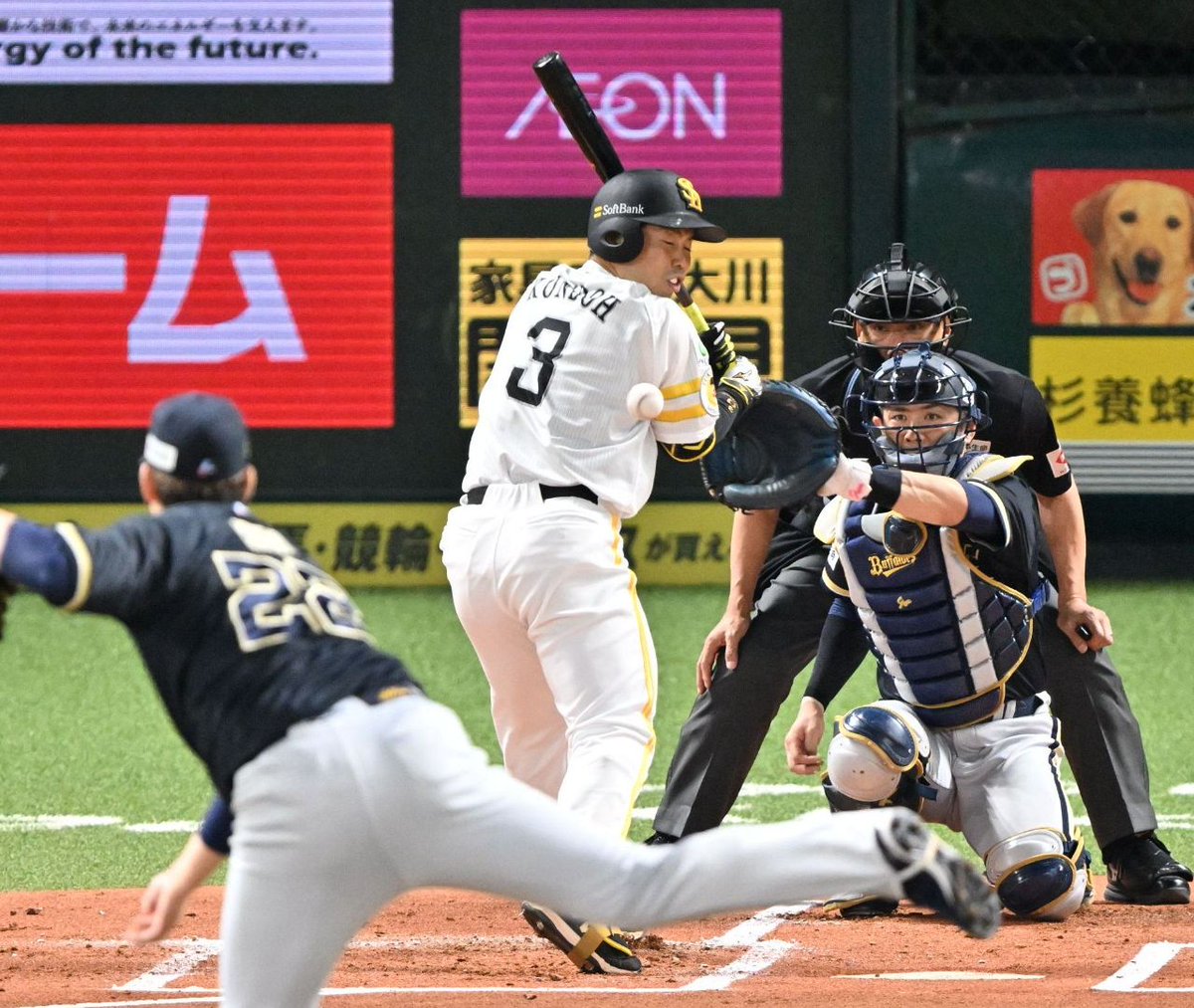 西スポWEB OTTO! タカ番がつぶやくソフトバンクホークス最新情報・裏情報 tweet media