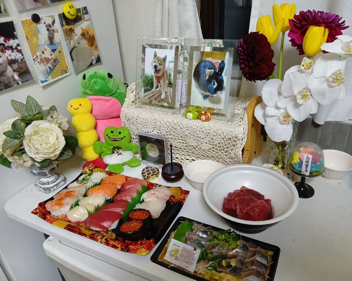 tomokoro56's tweet photo. 買いすぎてしまった🍣🐟🐟
コロ神様お召し上がりください😊 https://t.co/R4Nv6O7T3i