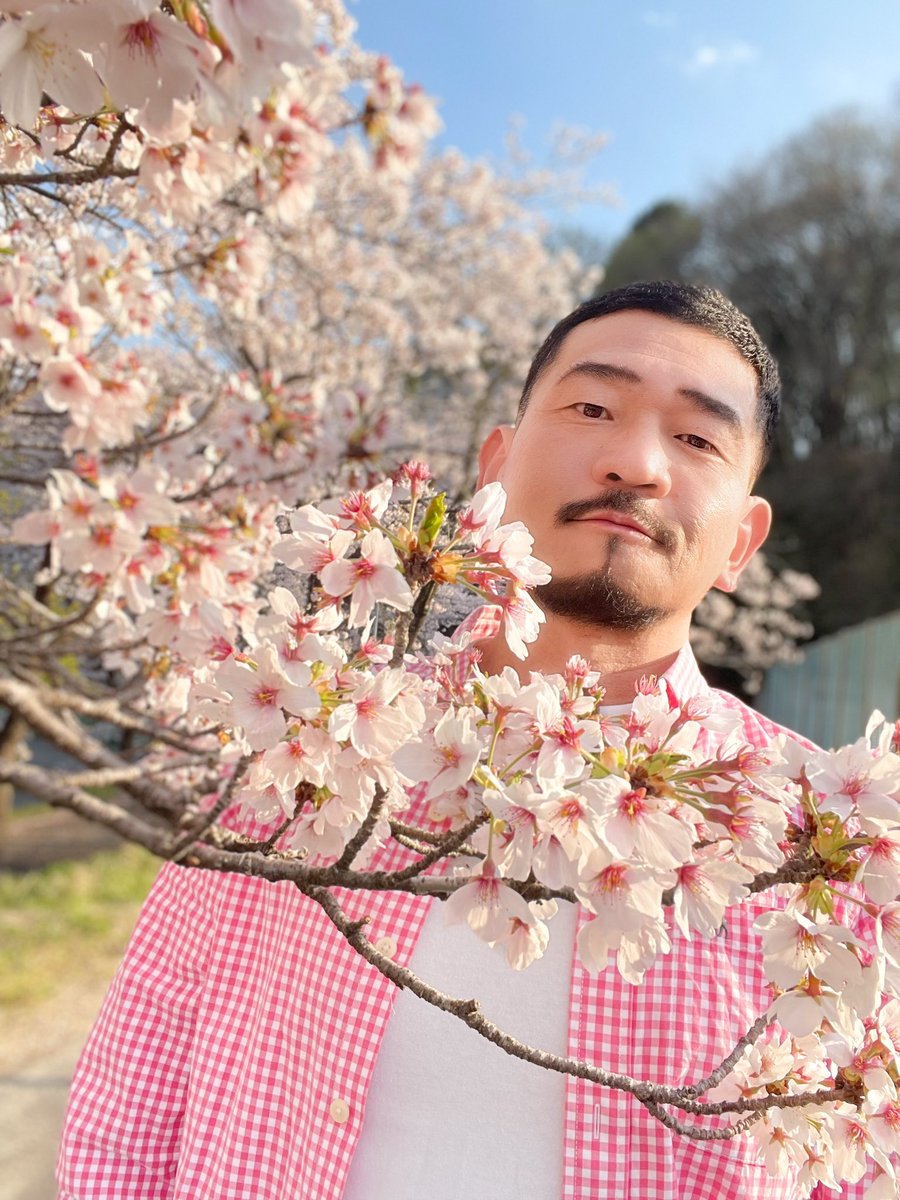 ねっち / OH!MYコンブ.com tweet media