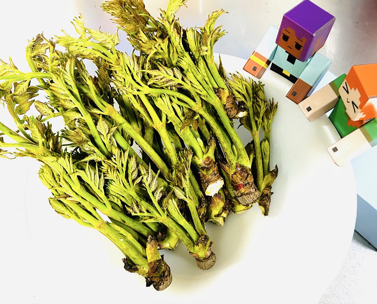 アンナ🧭マイクラアニメ｜YouTube @annavigame tweet media