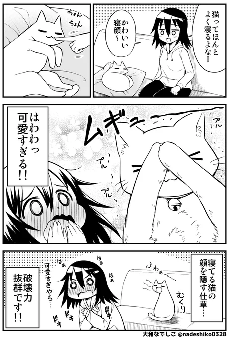 猫と一緒に生活した結果(3/4) 