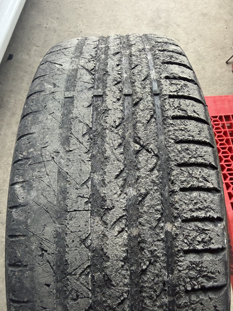 しろい tweet media