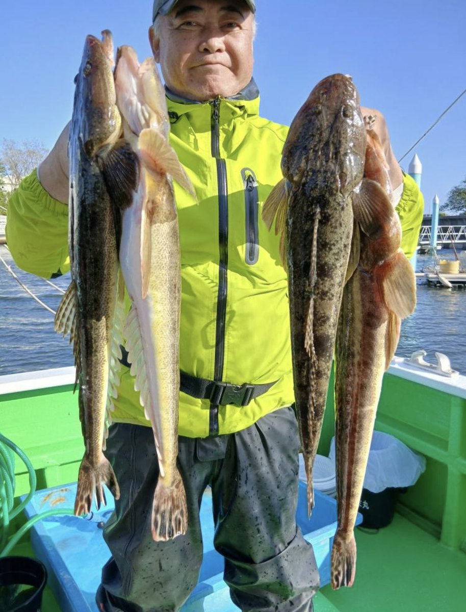 aka_fish tweet media