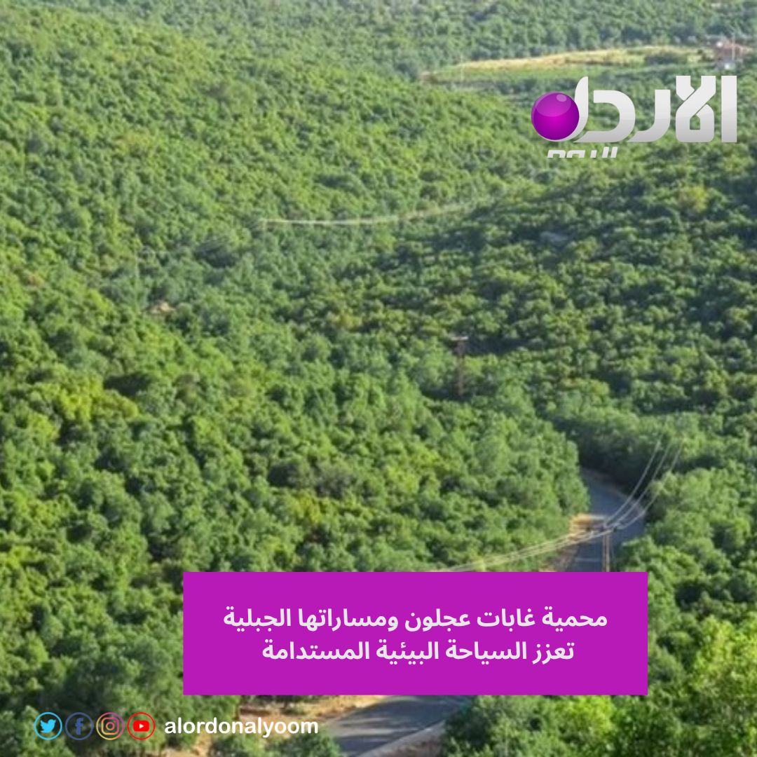 الأردن اليوم tweet media